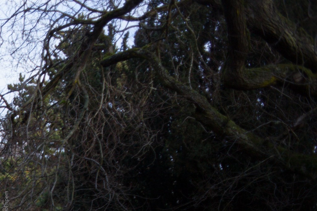 S-M-C Takumar 35mm f3.5 @f3.5