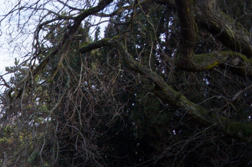 S-M-C Takumar 35mm f3.5 @f5.6