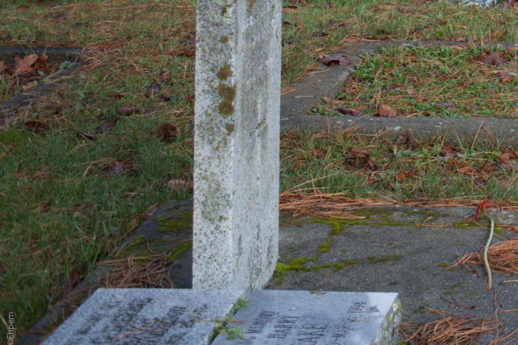 S-M-C Takumar 35mm f3.5 @f8