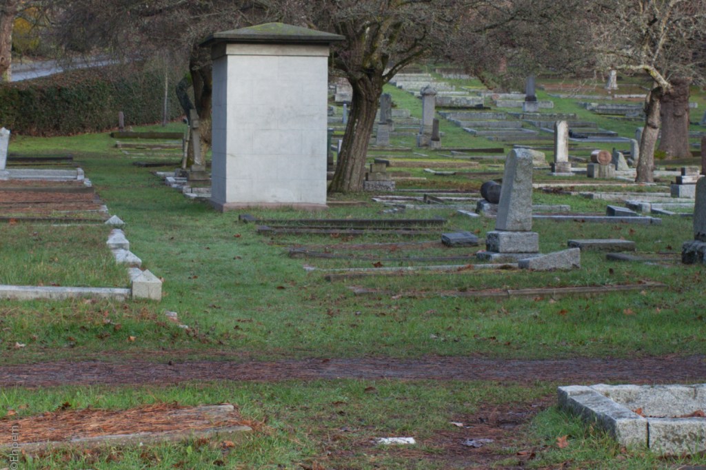 S-M-C Takumar 35mm f3.5 @f8