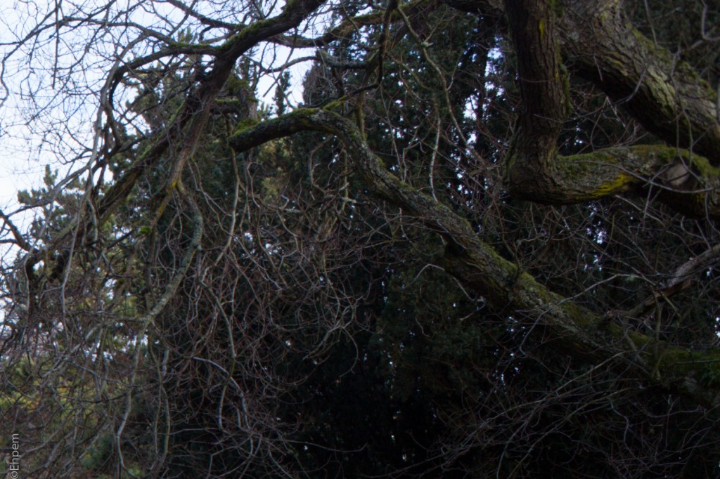 S-M-C Takumar 35mm f3.5 @f8