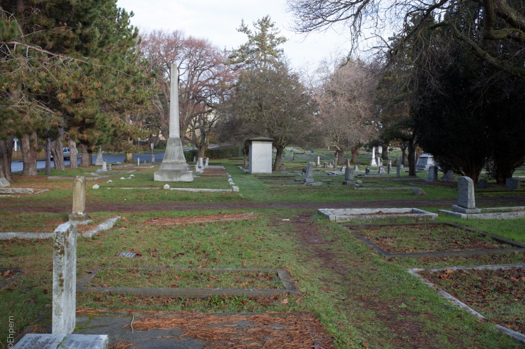 S-M-C Takumar 35mm f3.5 @f8