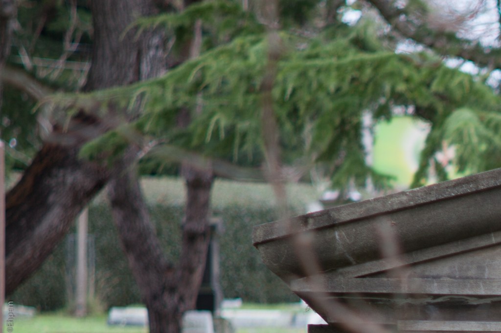 SMC Takumar 135mm f3.5 @f3.5