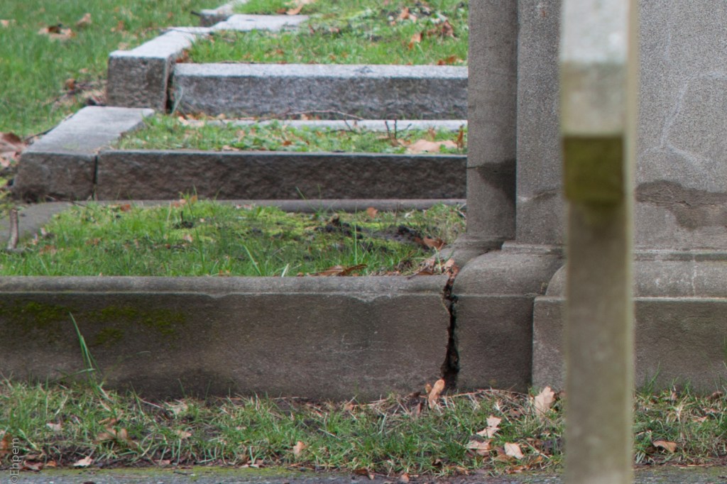 SMC Takumar 135mm f3.5 @f5.6