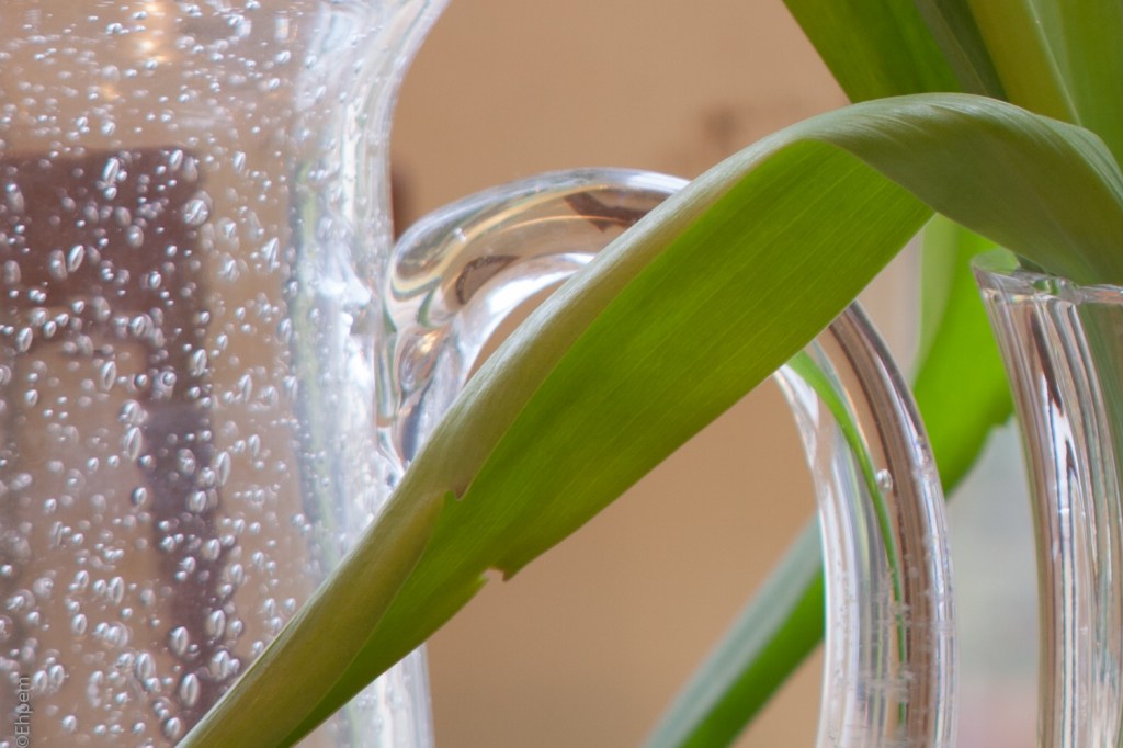 SMC Takumar 135mm f/3.5 f/8