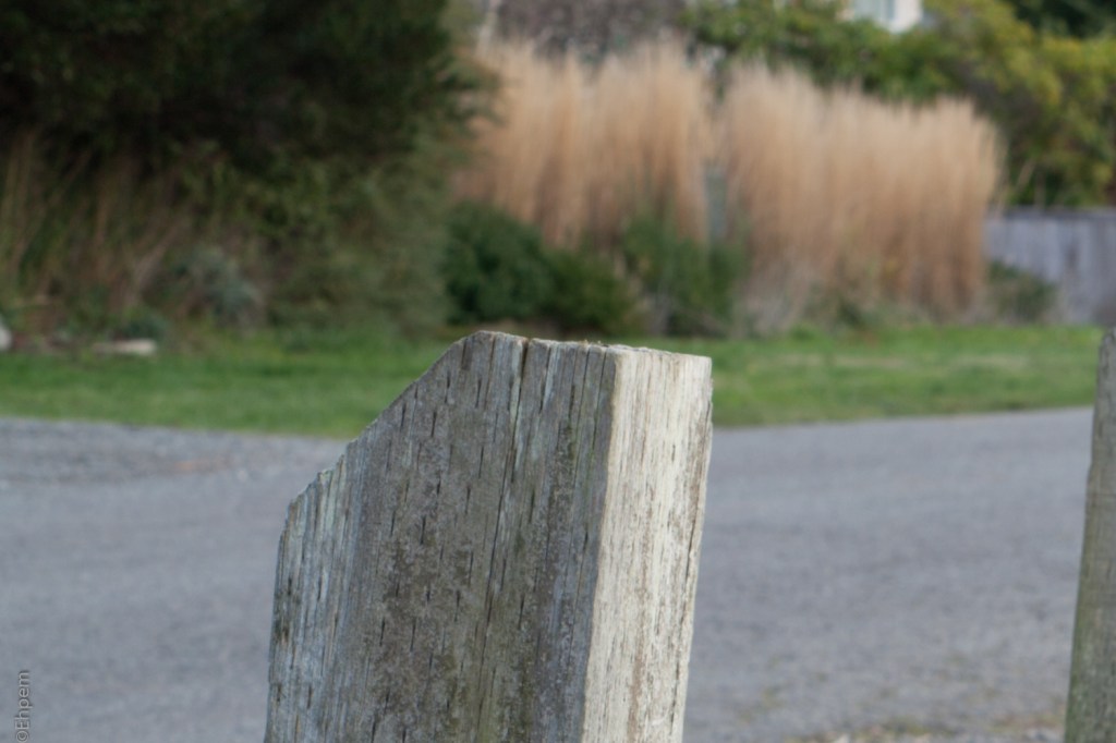 SMC Takumar 55mm, F16