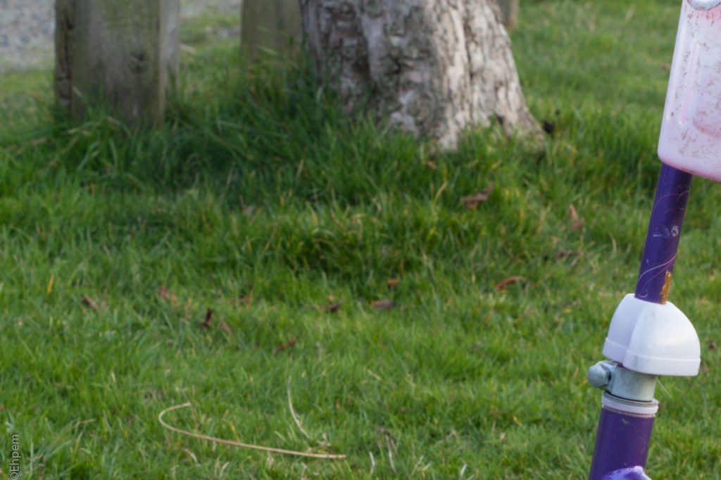 SMC Takumar 55mm, F16