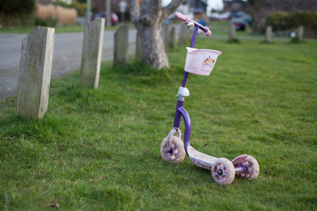 SMC Takumar 55mm, F~2.4